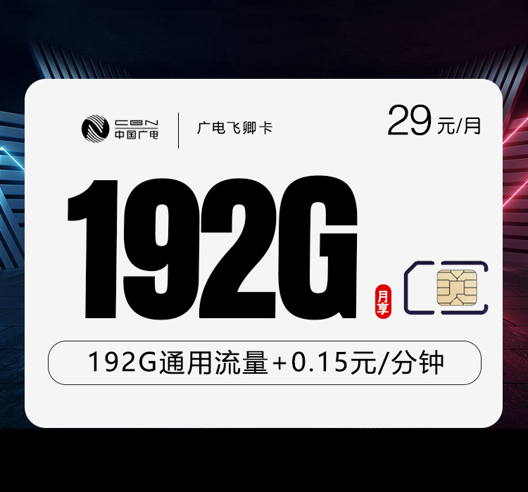 广电飞卿卡：29元每月192G-天音号